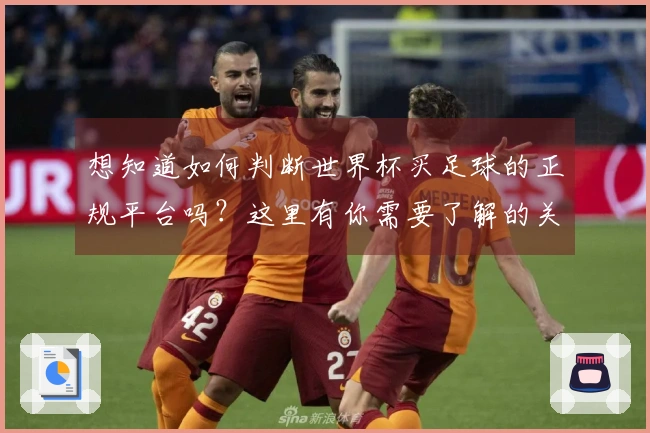 想知道如何判断世界杯买足球的正规平台吗？这里有你需要了解的关键要素。