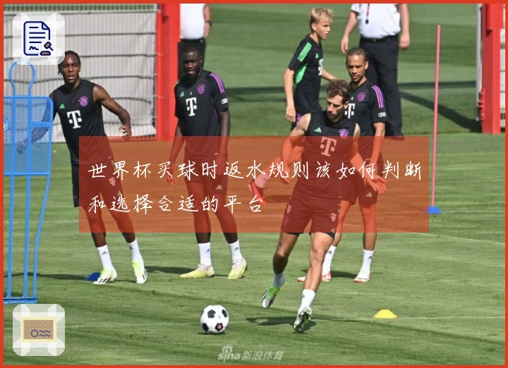 世界杯买球时返水规则该如何判断和选择合适的平台
