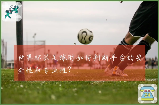 世界杯买足球时如何判断平台的安全性和专业性？