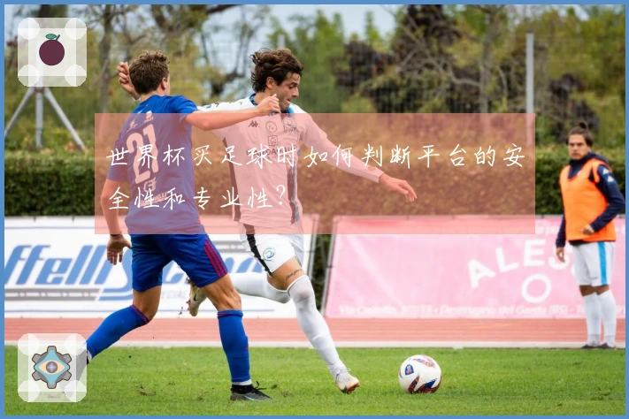 世界杯买足球时如何判断平台的安全性和专业性？
