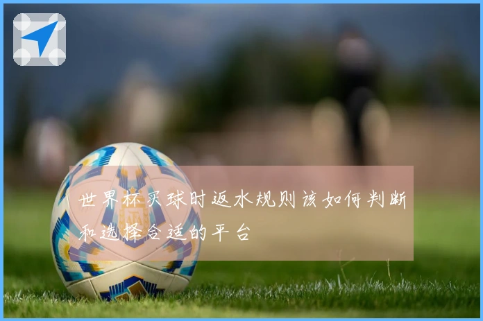 世界杯买球时返水规则该如何判断和选择合适的平台