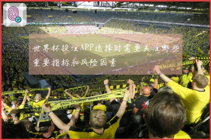 世界杯投注APP选择时需要关注哪些重要指标和风险因素