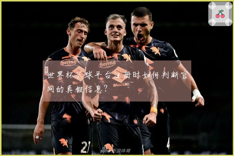 世界杯买球平台注册时如何判断官网的真假信息？